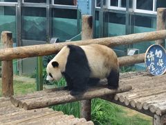 -大连森林动物园