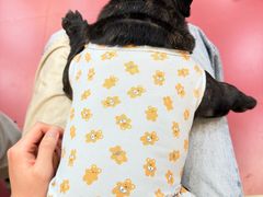 -和它·交个朋友·狗咖猫咖(爱琴海店)