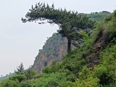 -灵山