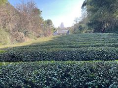 -敬亭山风景名胜区