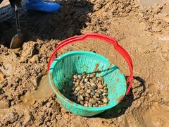 -东戴河风景区-止锚湾