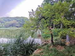 -河南省黄河迎宾馆