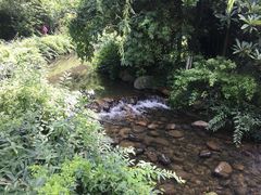 -白马涧龙池景区