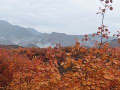 -周口店坡峰岭风景区