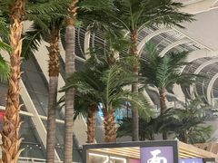 -合肥新桥国际机场-航站楼