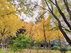-堤角公园
