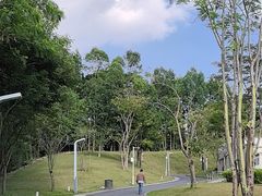 -白石龙音乐公园