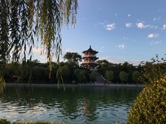 -莱西月湖公园