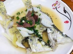 -全乐鱼馆·淳牌有机鱼直营店