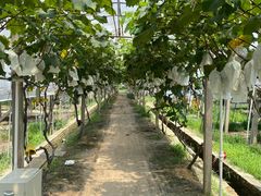 -美家乐农庄·露营·团建(大治路店)