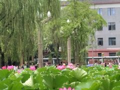 -四川大学(望江校区)