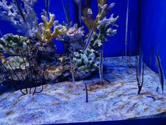 -多彩贵州城极地海洋世界