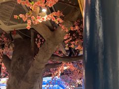 -南海底小海鲜·湘菜(鲁巷吴家湾店)