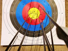 -蓝天射箭馆·专业射箭运动(诚丰广场店)