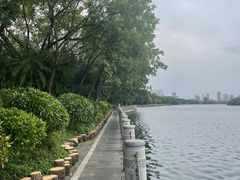 -南宁南湖公园