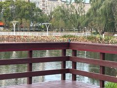 -新江湾城公园
