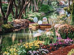 -上海共青森林公园