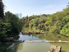 -云溪植物园