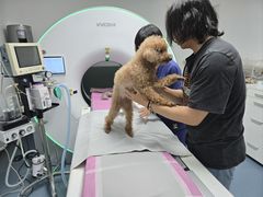 -北京观赏动物医院·24小时大型综合·猫专科·异宠专科