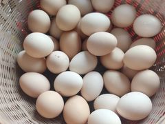 -马陆小张葡萄园农家乐