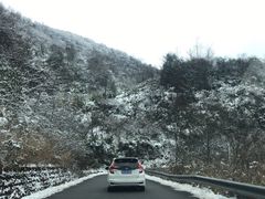 -武陵山森林公园