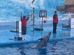 -石林冰雪海洋世界