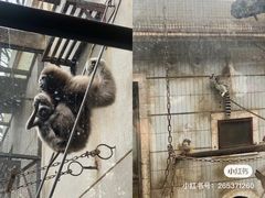 -昆明动物园