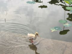 -木塔寺遗址生态公园