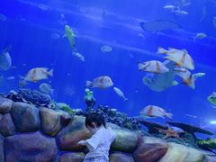 -华夏文旅海洋公园