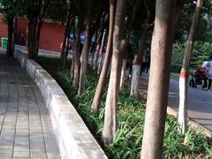 -解放人民公园