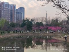 -堤角公园