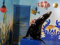 -太平洋海底世界