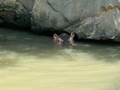 -宁波野生动物园