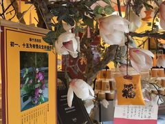 -潭柘寺景区