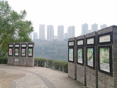 -重庆彩云湖湿地公园