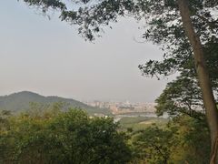 -风云岭森林公园