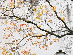 -老门东历史文化街区