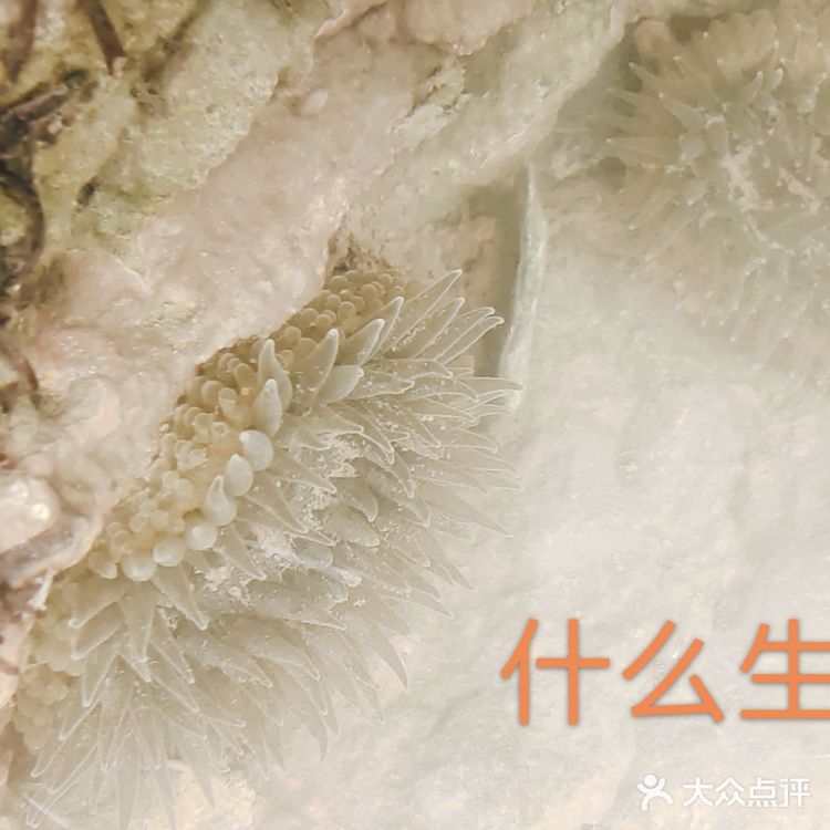就是玩