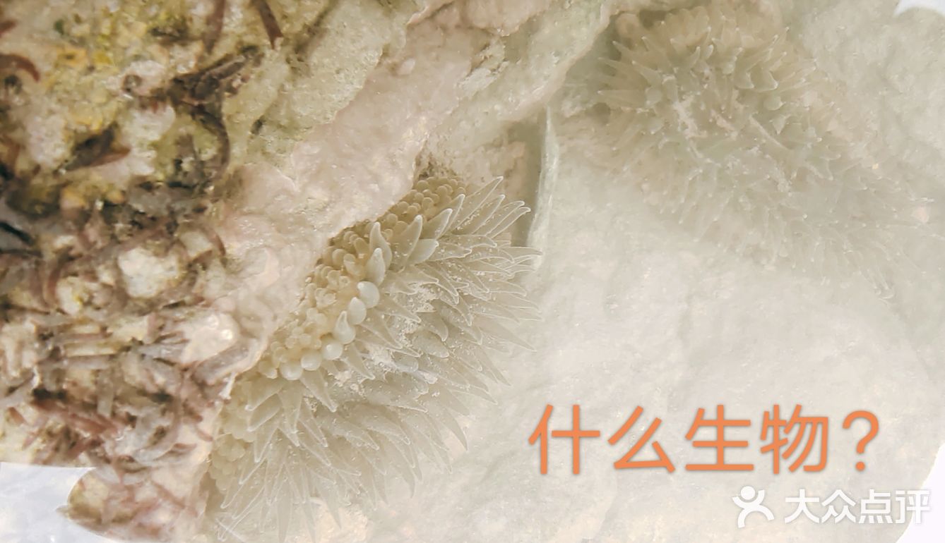 就是玩