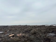 -江山半岛白浪滩景区