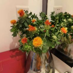 -妈妈时光机医疗产后修复(南山茂业百货店)