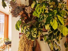 -AHAVA·Fang Baking Studio