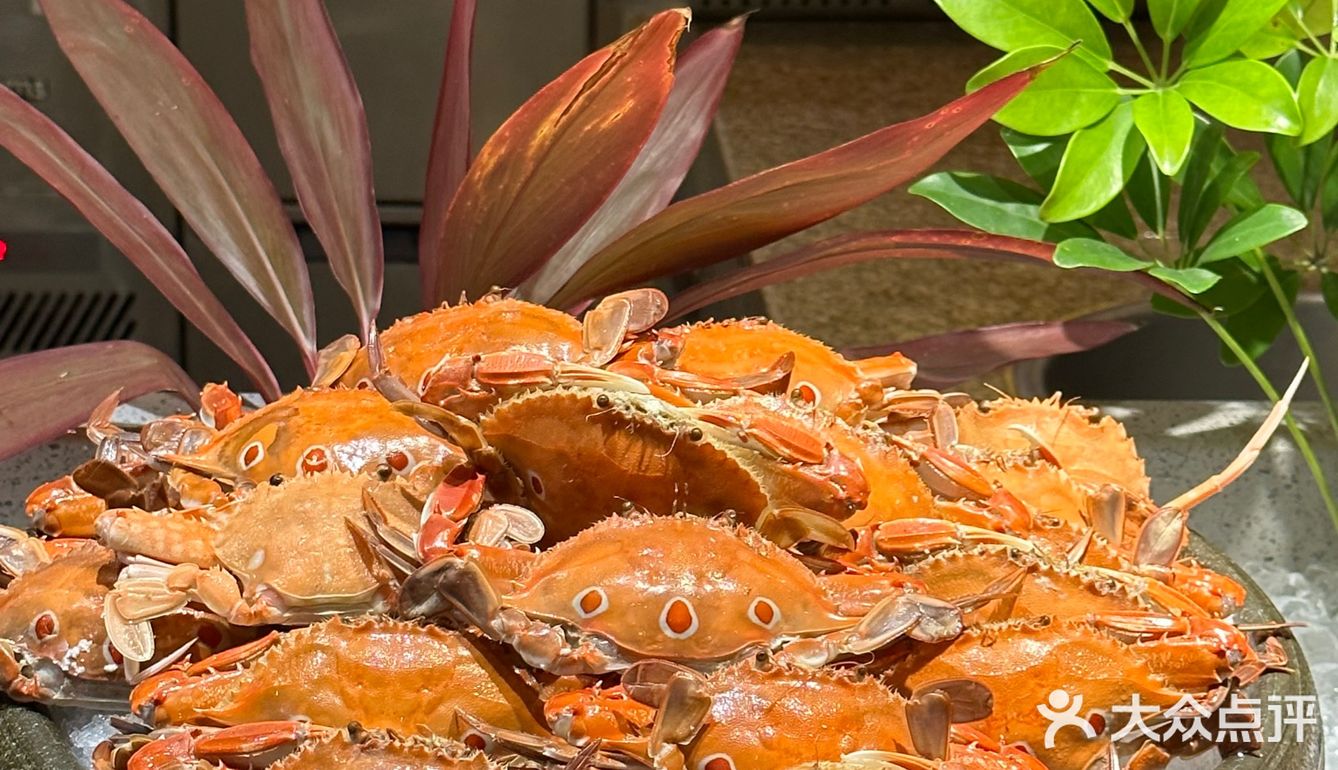 蛇口希尔顿南海酒店🏨享受自助餐体验‼️