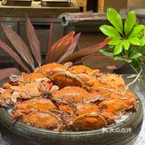 蛇口希尔顿南海酒店🏨享受自助餐体验‼️