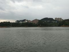 -千岛湖城中湖游船码头