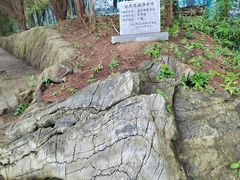 -大连金石滩国家旅游度假区
