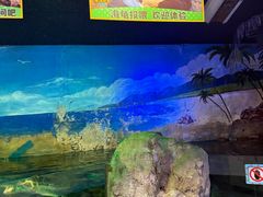 -大连圣亚海洋世界