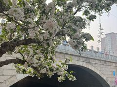 -元大都城垣遗址公园