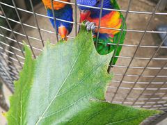 -大连森林动物园