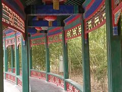 -武汉园博园(武汉自然博物馆)
